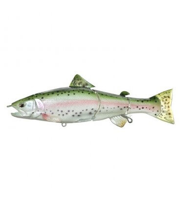 Rainbow Trout