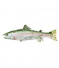 Rainbow Trout