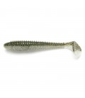 Silver Flash Minnow