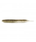 Gold Flash Minnow