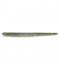 Silver Flash Minnow