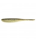 Gold Flash Minnow