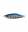 Sardine