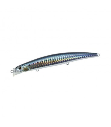 Sardine