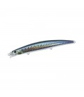 Sardine