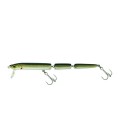Eel