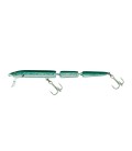 Needlefish