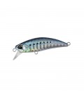 Sardine