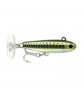 Natural Minnow