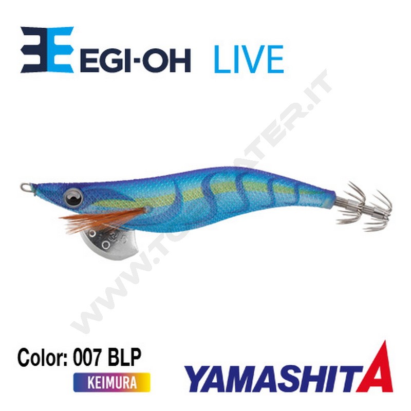 Yamashita NEW Egi-OH Live 2019