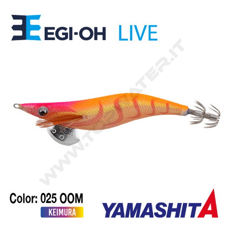 Yamashita NEW Egi-OH Live 2019