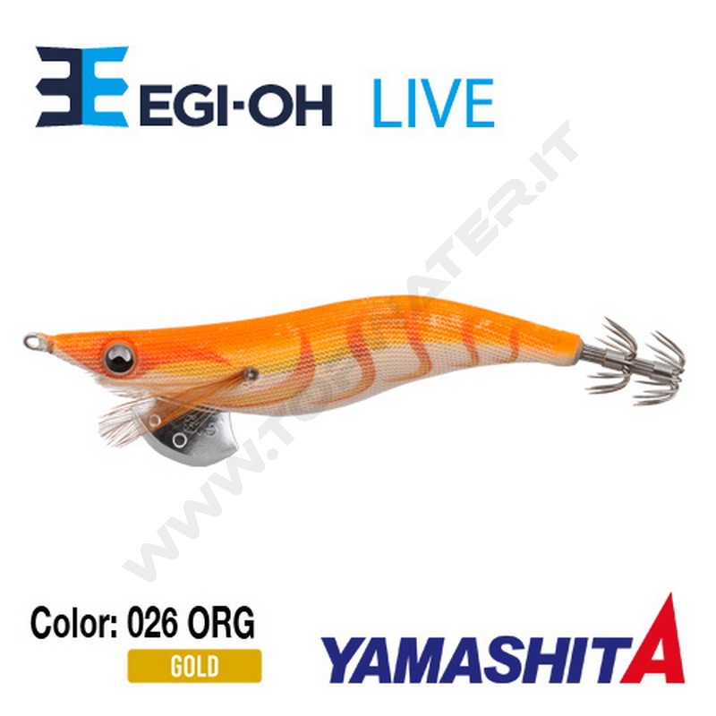 Yamashita NEW Egi-OH Live 2019