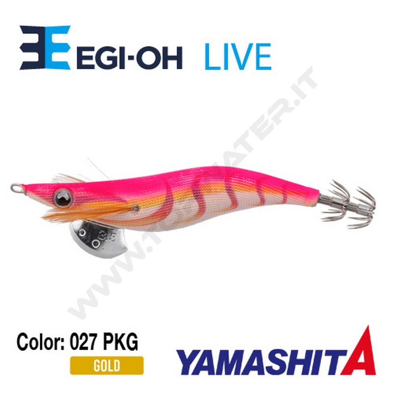 Yamashita NEW Egi-OH Live 2019