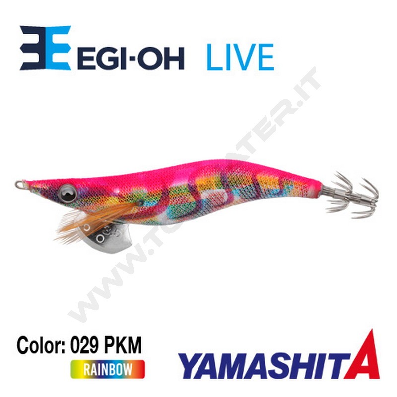 Yamashita NEW Egi-OH Live 2019