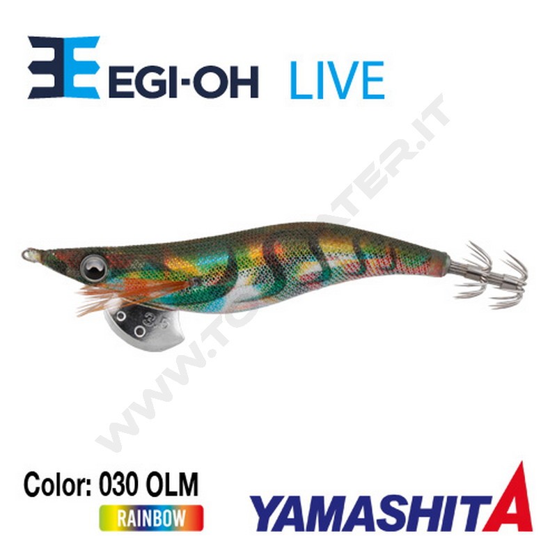 Yamashita NEW Egi-OH Live 2019