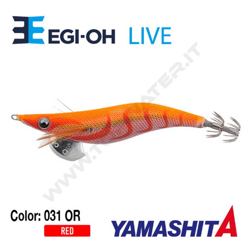 Yamashita NEW Egi-OH Live 2019