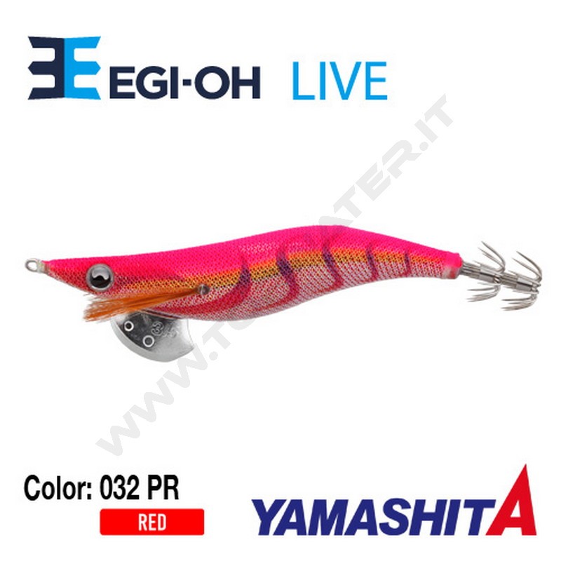 Yamashita NEW Egi-OH Live 2019