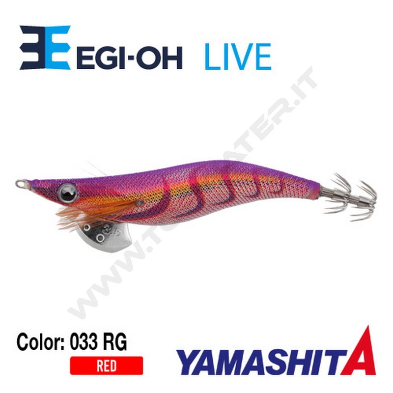 Yamashita NEW Egi-OH Live 2019
