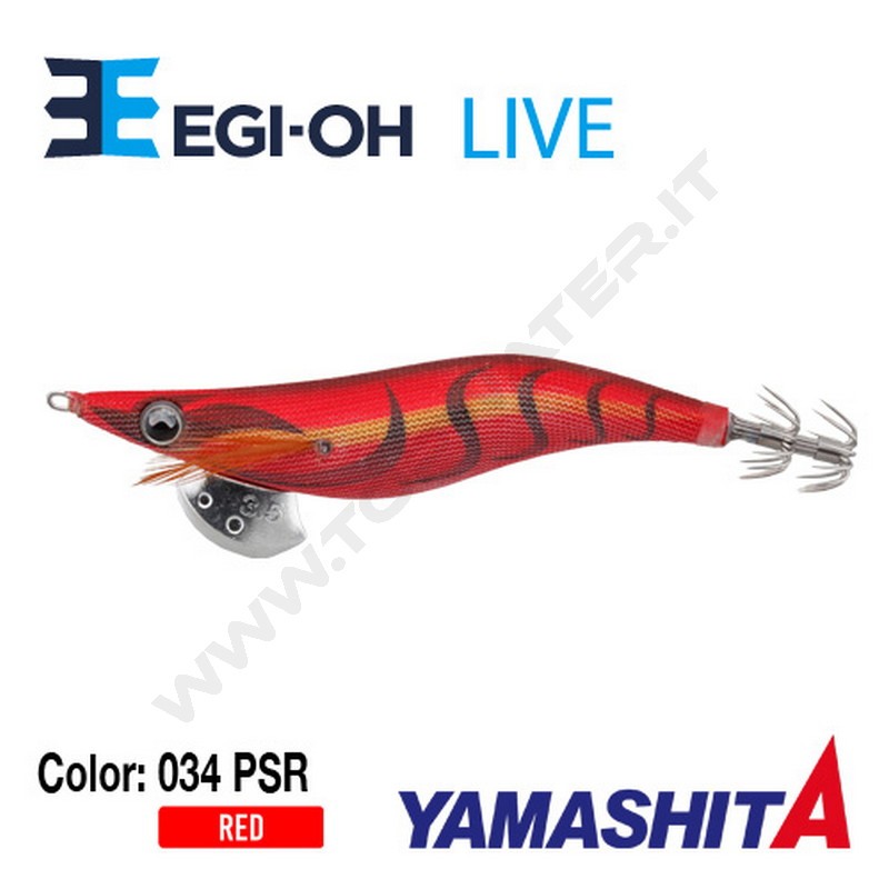 Yamashita NEW Egi-OH Live 2019
