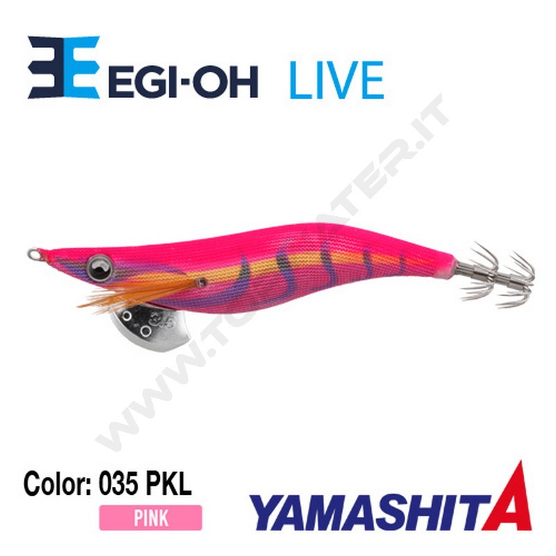 Yamashita NEW Egi-OH Live 2019