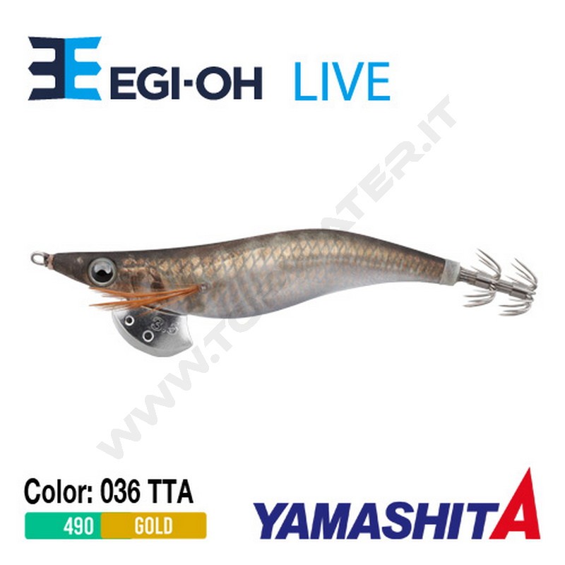 Yamashita NEW Egi-OH Live 2019