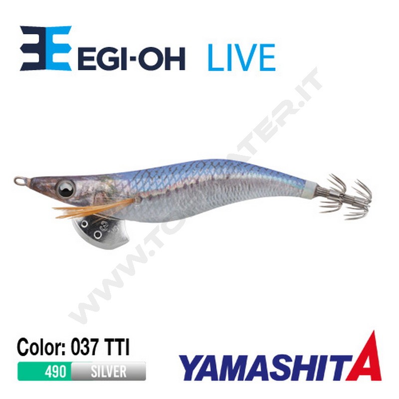 Yamashita NEW Egi-OH Live 2019