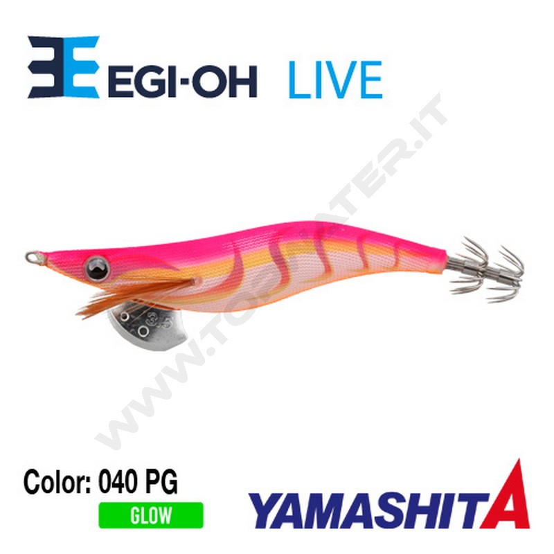 Yamashita NEW Egi-OH Live 2019