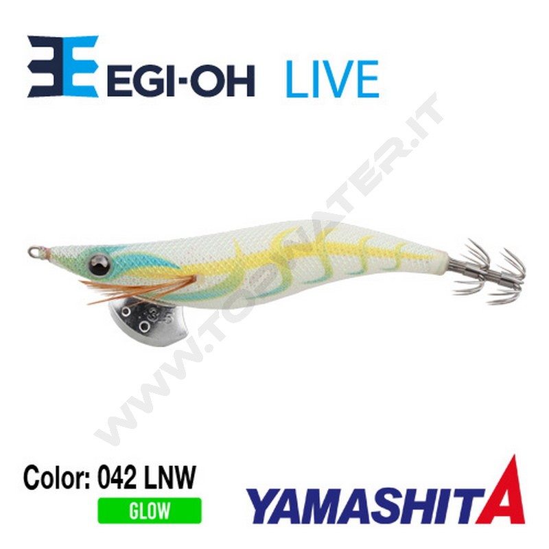 Yamashita NEW Egi-OH Live 2019