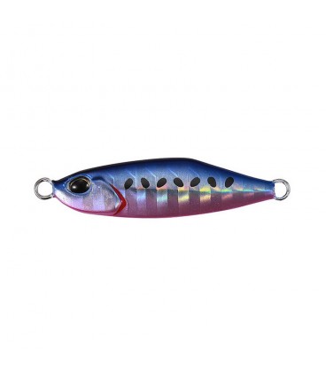 Blue Pink Sardine