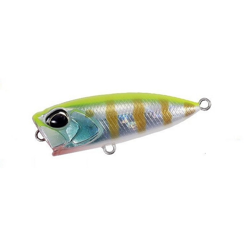 DUO Tetra Works PocoPoco F