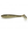 Gold Flash Minnow