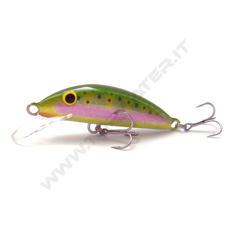 Real Winner Minnow Evolution