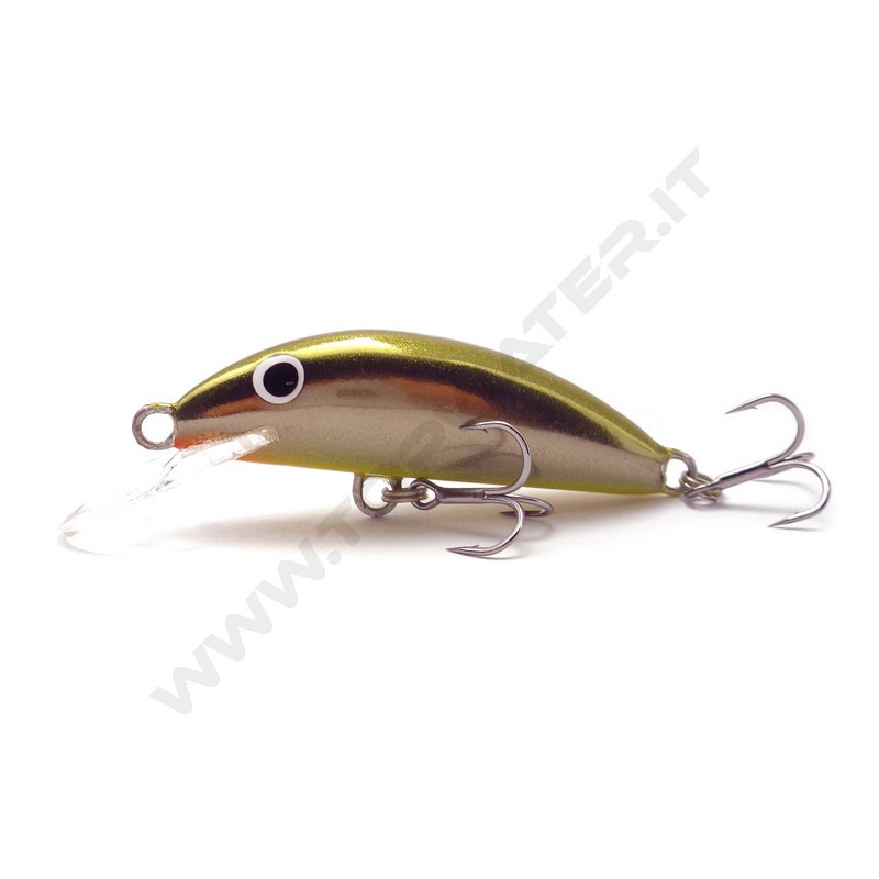 Real Winner Minnow Evolution