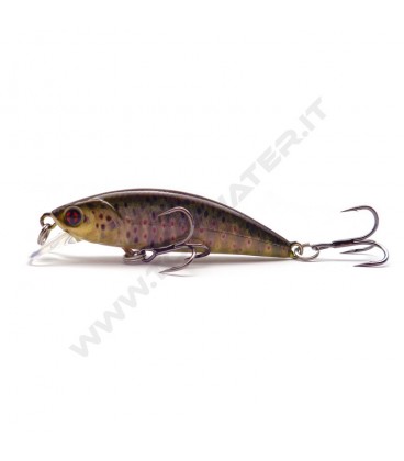 Real Life Fario Trout