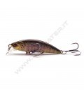 Real Life Fario Trout