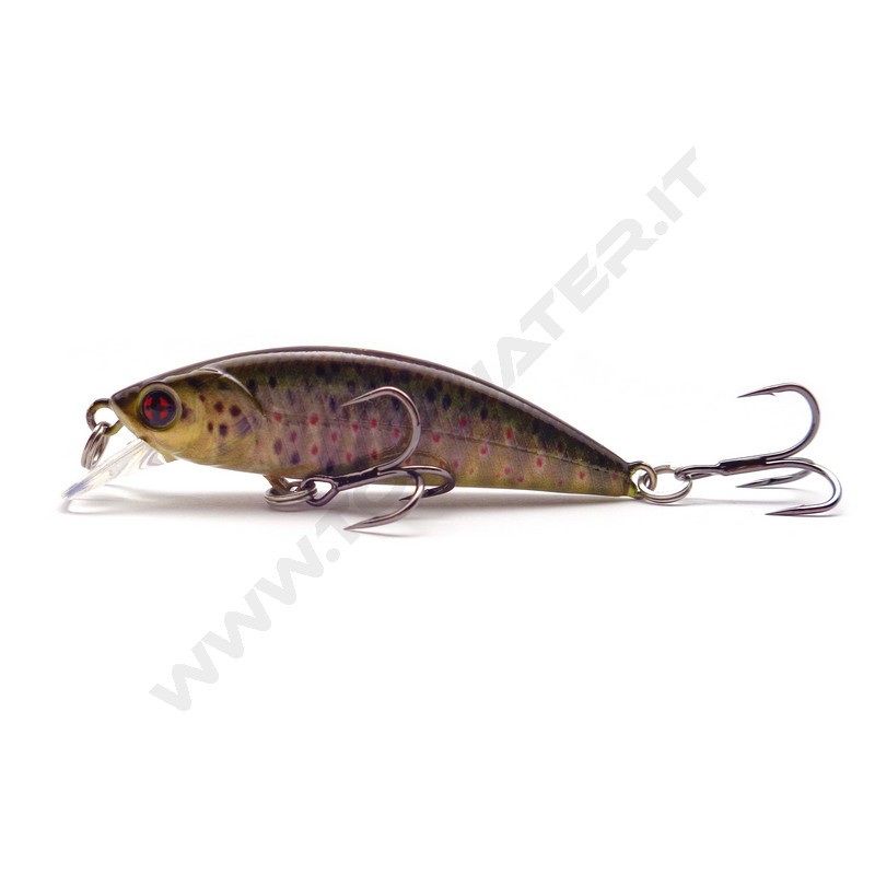 Sakura Phoxy Minnow HW
