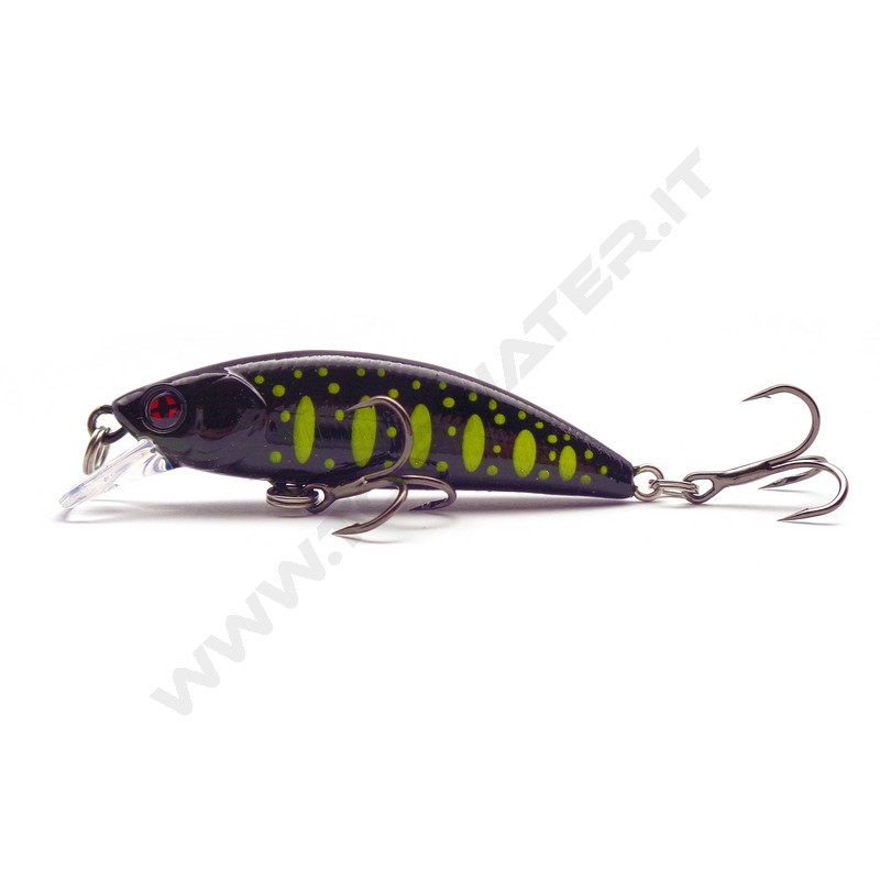 Sakura Phoxy Minnow HW