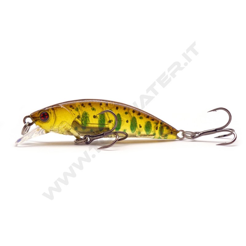 Sakura Phoxy Minnow HW