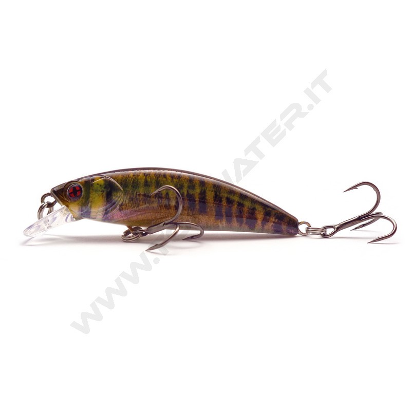 Sakura Phoxy Minnow HW