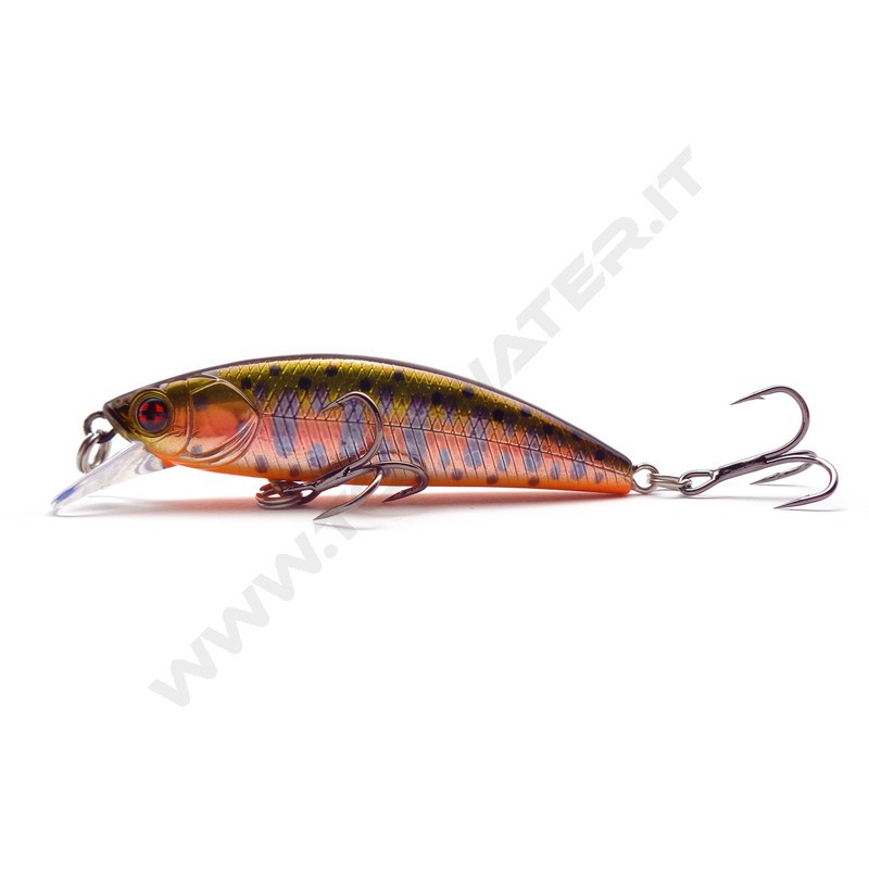 Sakura Phoxy Minnow HW