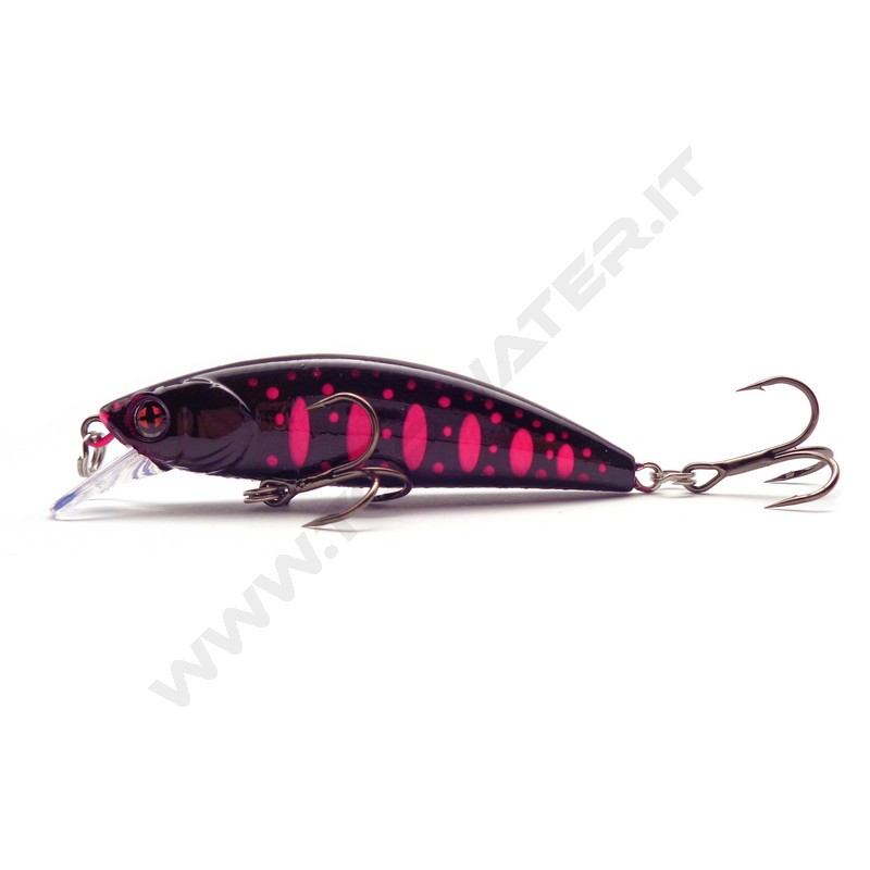 Sakura Phoxy Minnow HW