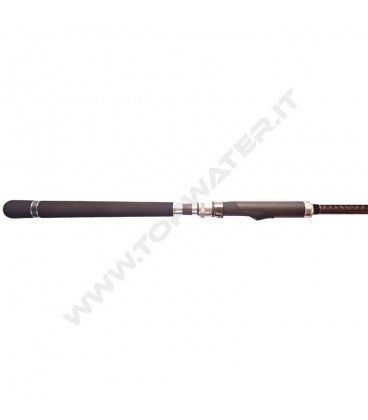 Fishus SW1 Saltwater Rod