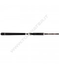 Fishus SW1 Saltwater Rod