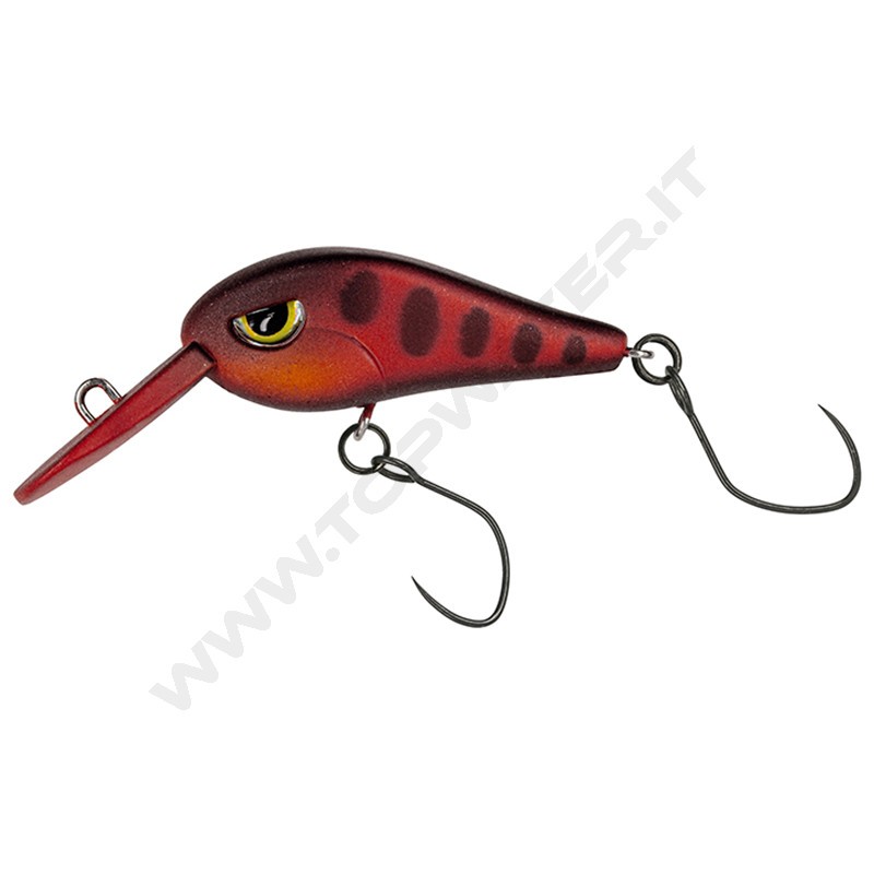 Molix Tournament Area Crank TAC 30 DR
