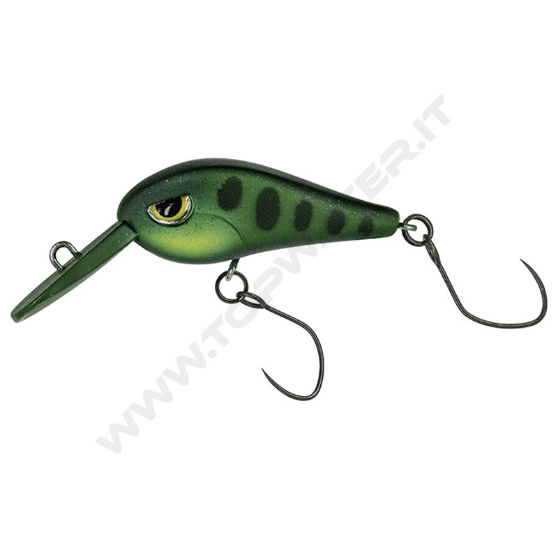 Molix Tournament Area Crank TAC 30 DR