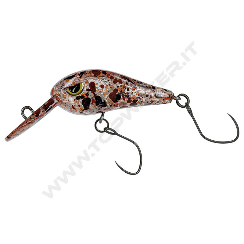Molix Tournament Area Crank TAC 30 DR
