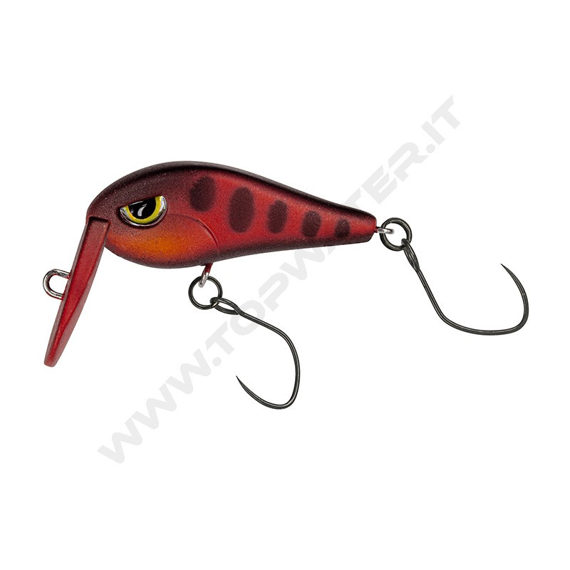 Molix Tournament Area Crank TAC 30 SR