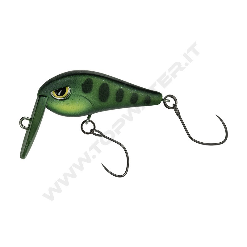 Molix Tournament Area Crank TAC 30 SR
