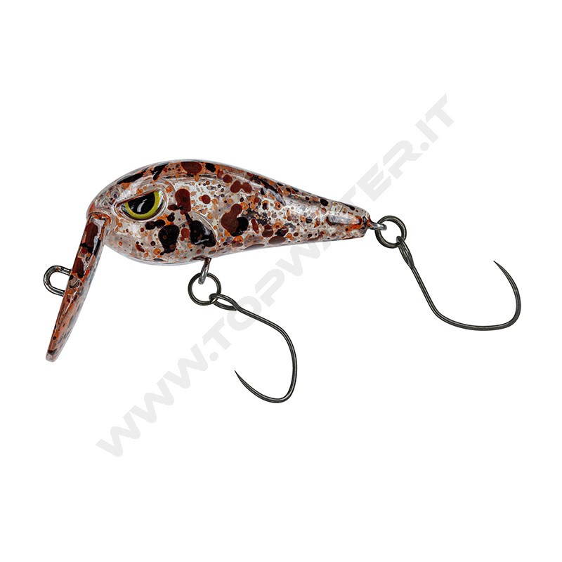 Molix Tournament Area Crank TAC 30 SR