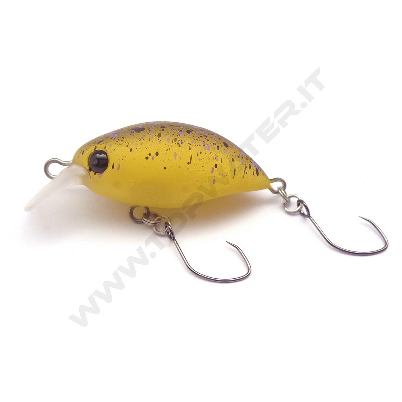 Mukai Snaq 33 MR F